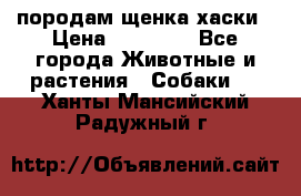 породам щенка хаски › Цена ­ 10 000 - Все города Животные и растения » Собаки   . Ханты-Мансийский,Радужный г.